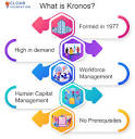 What is Kronos? The Best Kronos User Guide for Beginners in [2024]