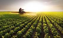Public Comment Sought on New Bayer CropScience Dicamba Herbicide ...