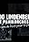 Udo Lindenberg & das Panikorchester: 50 Jahre Rock'n'Roll in der bunten Republik