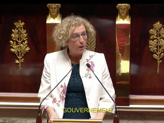 Discours de Muriel Pénicaud, Ministre du Travail PROJET DE LOI POUR LA LIBERTÉ DE CHOISIR SON (...)