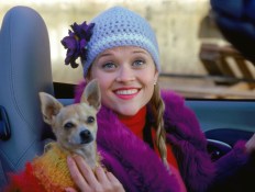 Amazon’s Legally Blonde Series Will Revisit Elle’s High School Days, Reese Witherspoon Reveals