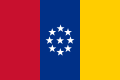 Flag of United States of New Granada (1861)