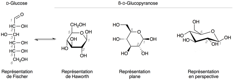 Représentations du D-glucose