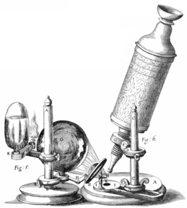 Robert Hooke's microscope setup, as depicted in Micrographia