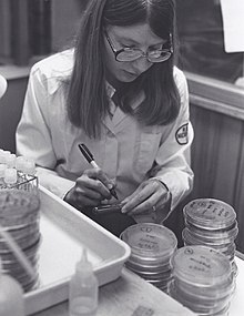une jeune femme en blouse inspecte des boites de Pietri où ont été mis en culture des bactéries et différents petits disques d'antibiotiques, si la culture vient au contact d'un disque c'est que la bactérie est résistante à cet antibiotique