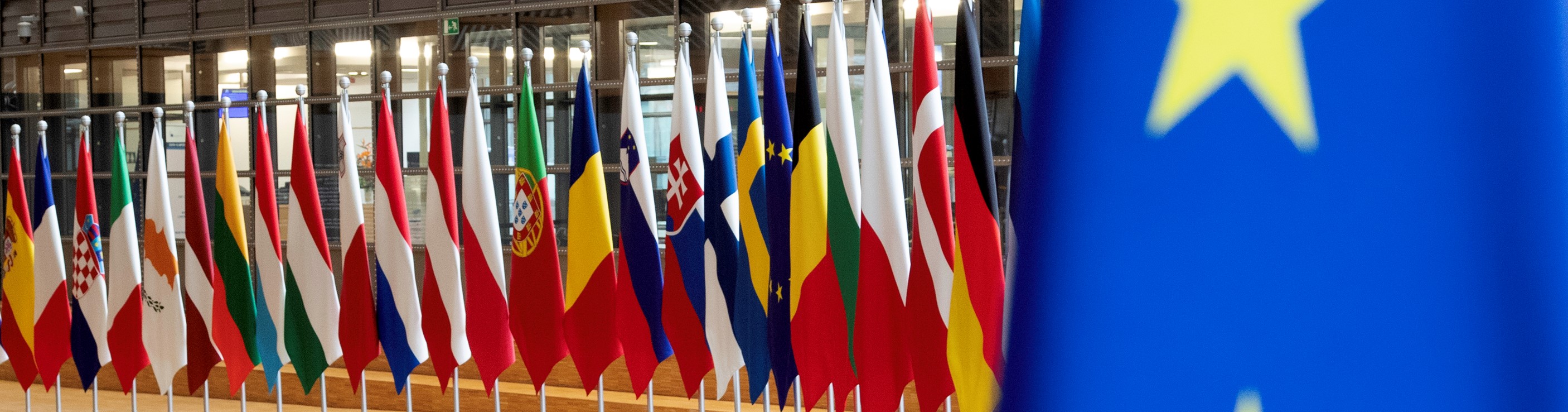 Photo: Drapeau de l'Union européenne devant un tapis rouge et des drapeaux des États membres. ©European Union
