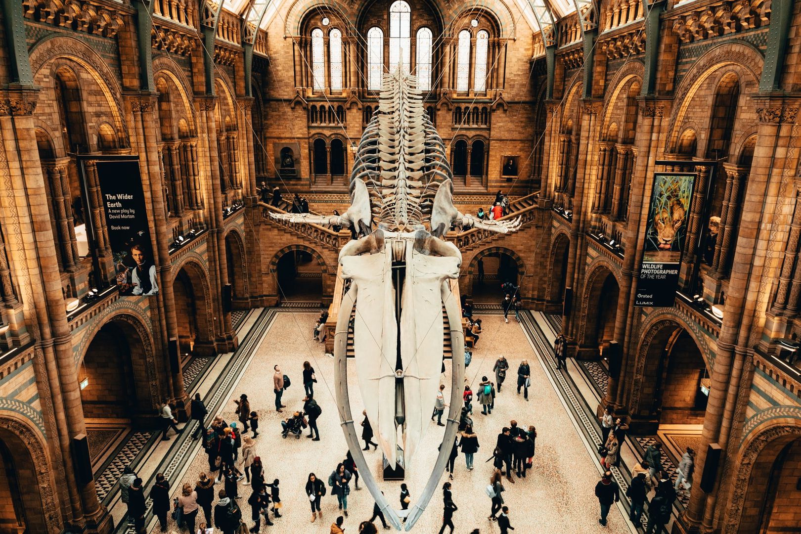 How much does it cost to go to the Natural History Museum in London?