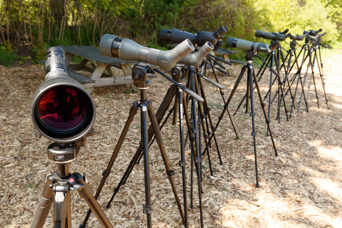 Many birders use spotting scopes to magnify distant birds. Expensive models from companies like Swarovski, Zeiss and Leica cost thousands of dollars. Adapters let you attach phones or cameras to take photos.