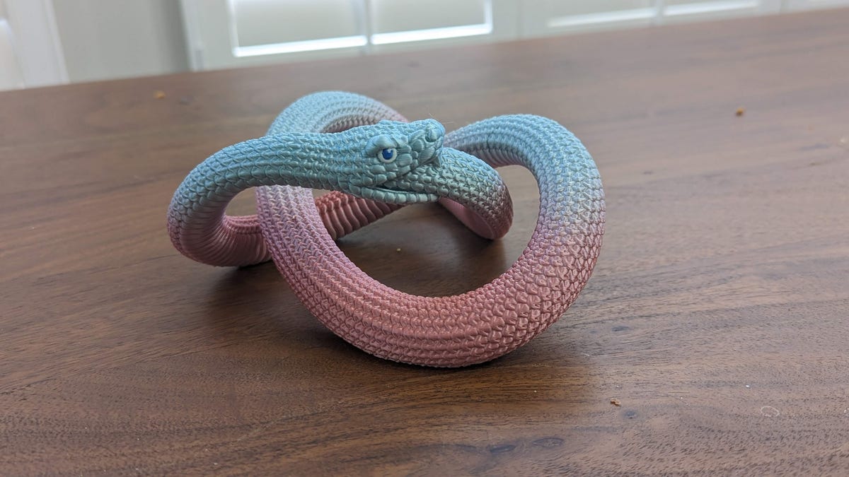 Ouroboros snake printed on the X1 Carbon