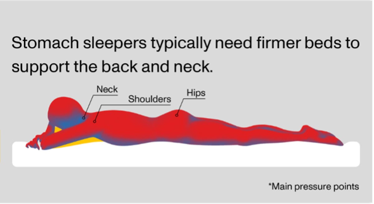 A graphic showing a stomach sleepers and main pressure points for the Purple Hybrid mattress