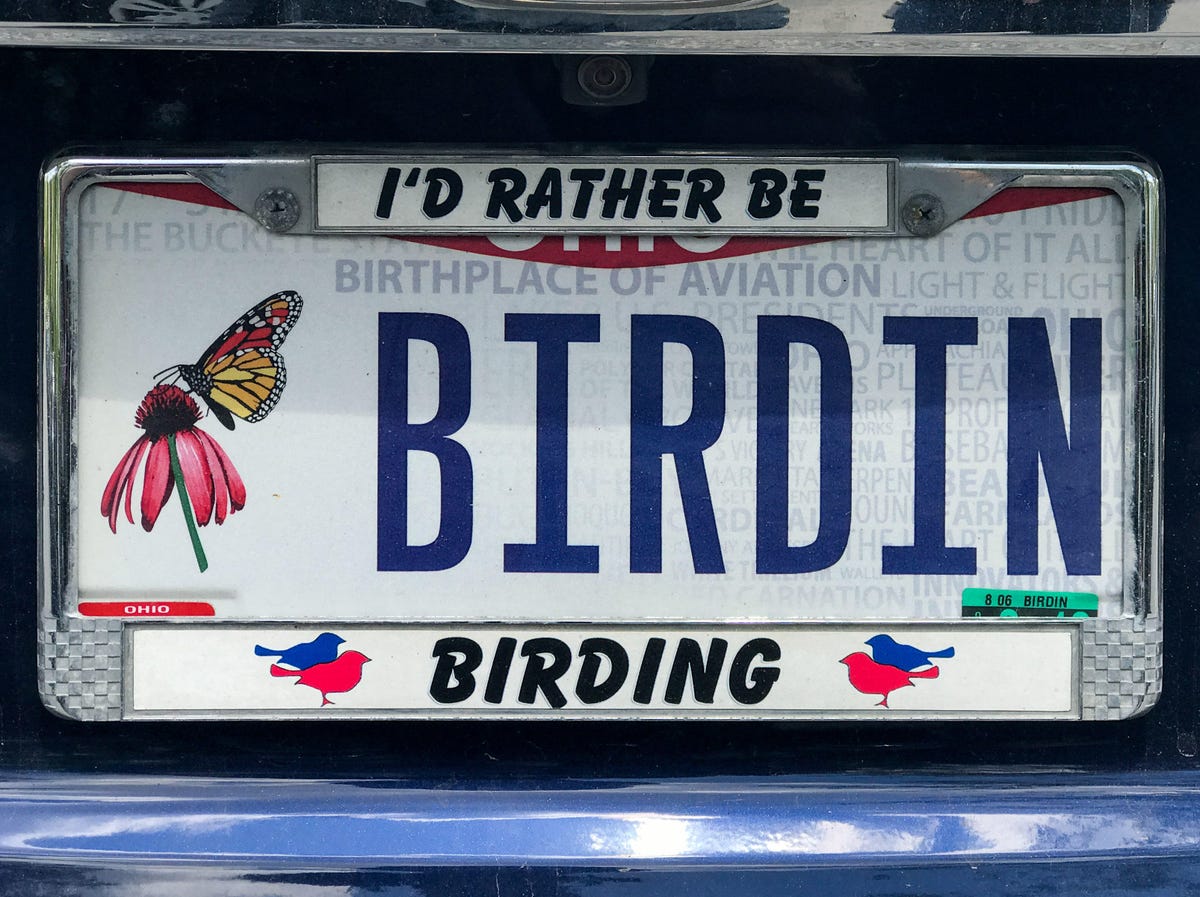 Several license plates declared people's birdwatching passion at the Biggest Week event.