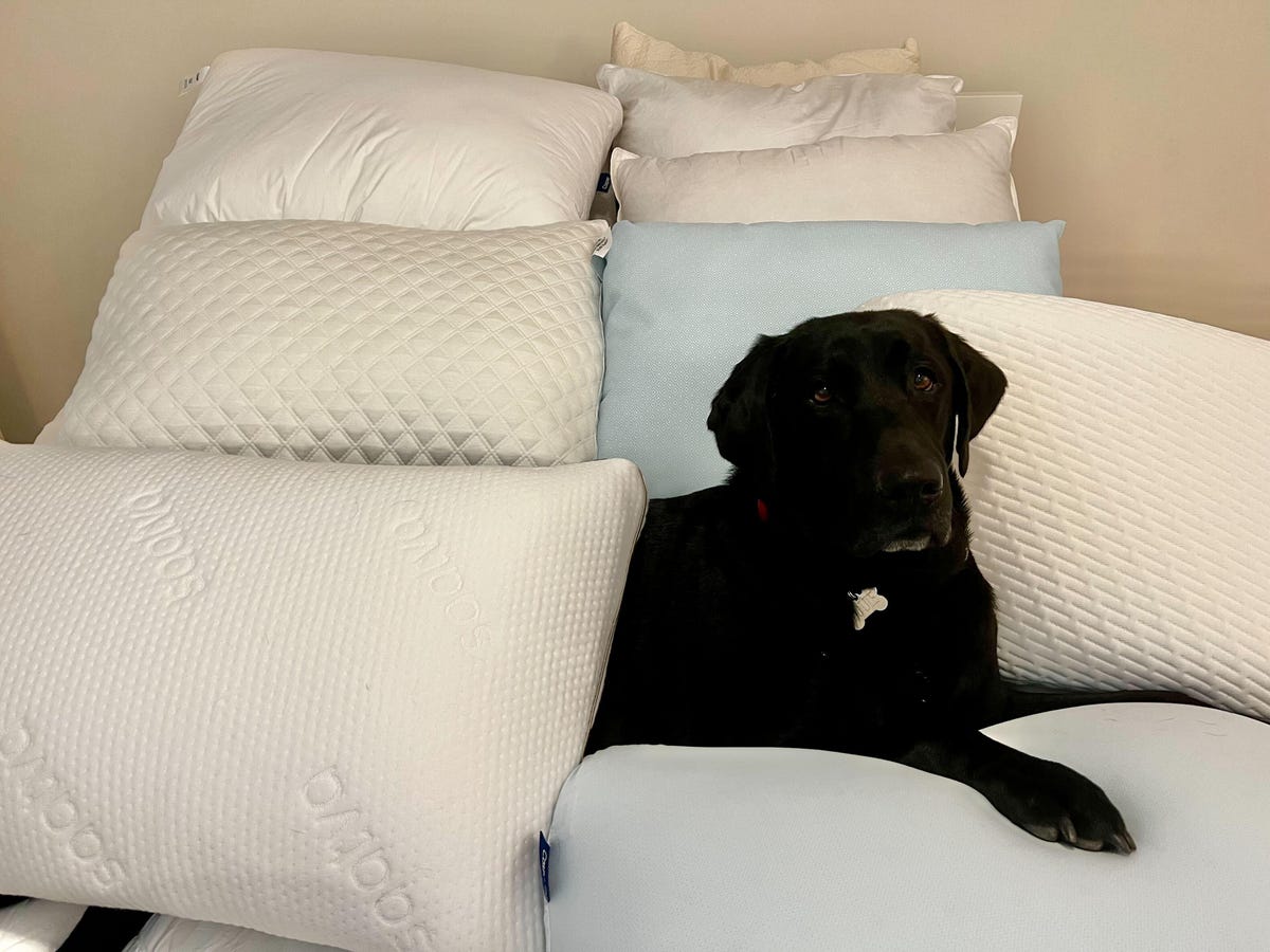 A stack of pillows on the bed with a black dog sitting among them.