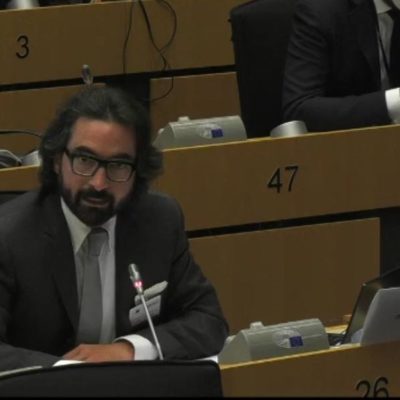 ACT speaks at the INGE Hearing on the European Democracy Action Plan and Digital Services Act and other EU instruments
