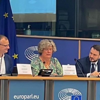 ACT speaks at the EP stakeholders’ meeting on the AVMSD implementation report