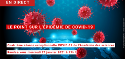 épidémie covid-19