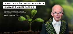 Hommage à Michel Caboche