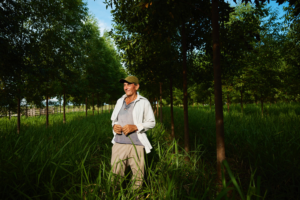 Serafino Gonzalez in piedi nell’erba alta tra filari di alberi.