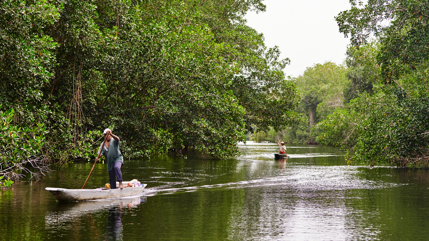 Two people steer their boats in a mangrove forest in Colombia.