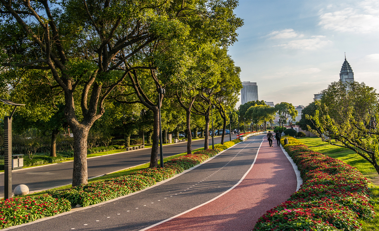 En gang- og sykkelsti i Shanghai med trær langs stien.