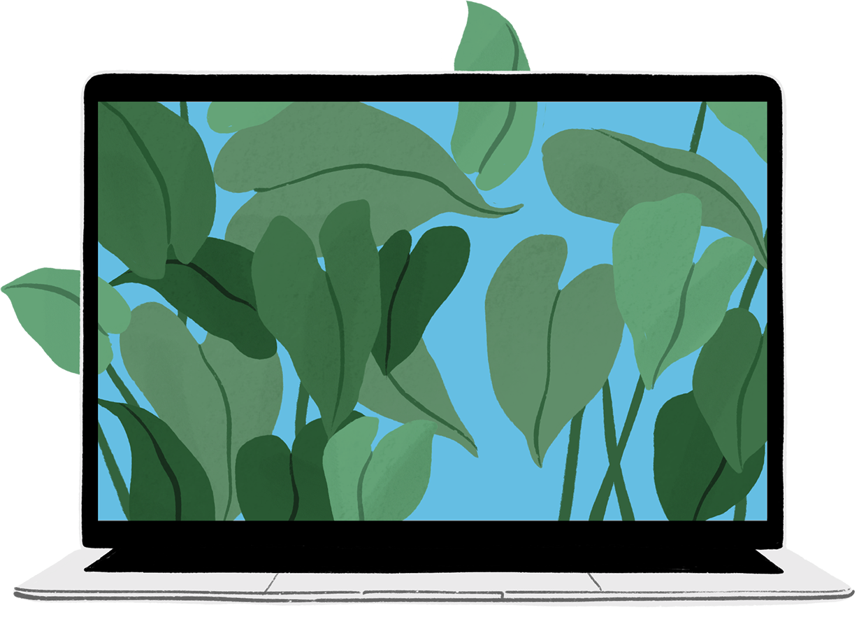 Stejný portrét, ale do záběru se teď nasune ilustrovaný MacBook Air, z jeho obrazovky vylétávají zelené listy.