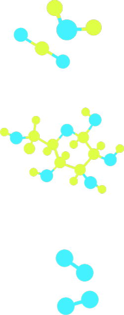  แบบจำลองโมเลกุล 5 รูป โดยแต่ละรูปแทนคาร์บอนไดออกไซด์ น้ำ กลูโคส ส่วนอีก 2 รูปแทนออกซิเจน