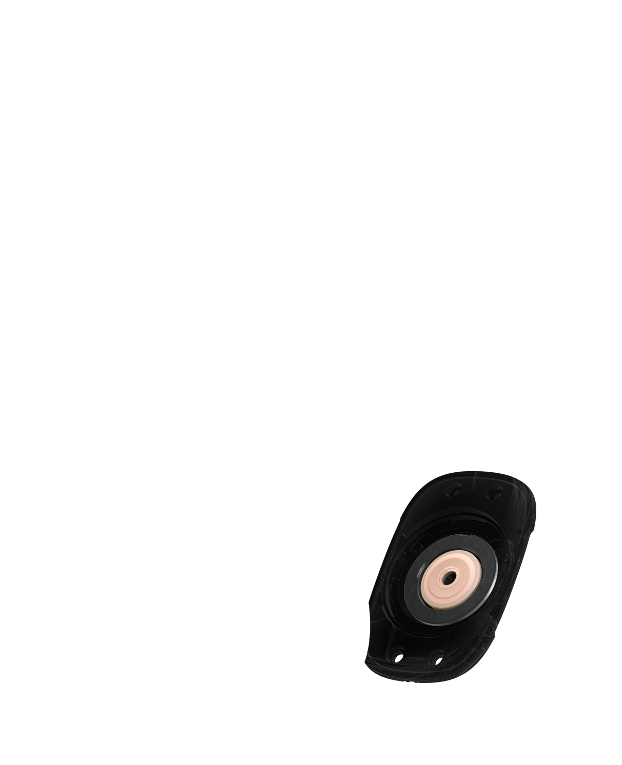 Garsiakalbio vidaus vaizdas, kuriame akcentuojamas žiedo formos magnetas, sumažinantis garso iškraipymą.