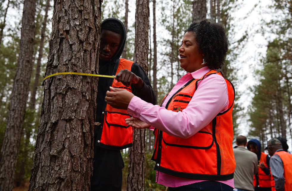一名男性和一名女性分别身穿橙色马甲，在森林中用卷尺测量树木。