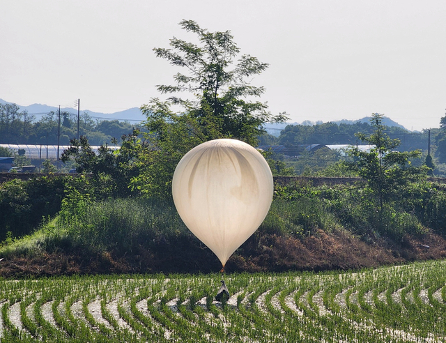 韓国・鉄原の水田で2024年5月29日、ゴミや排泄物とみられる物体を乗せた気球。北朝鮮が飛ばしたとみられる。聯合ニュースが第3者提供として伝えた=ロイター