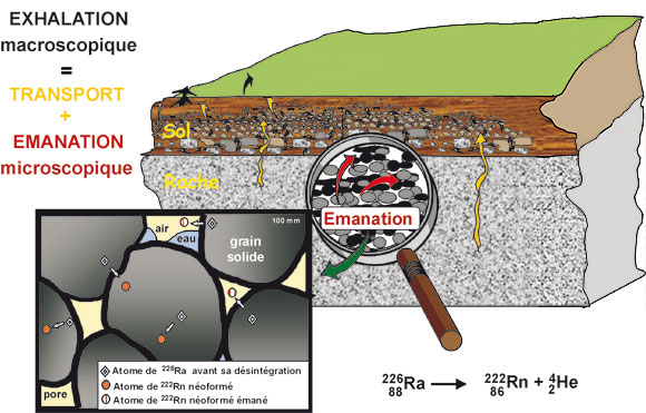 La formation du radon et sa migration dans l'atmosphère