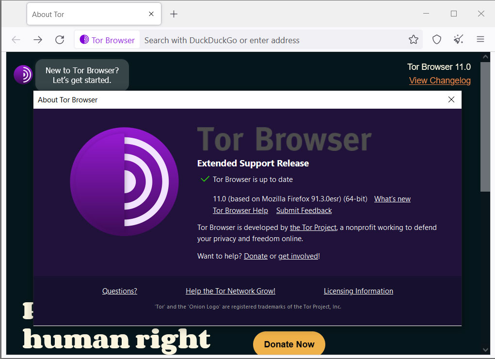 Tor Browser 11.0