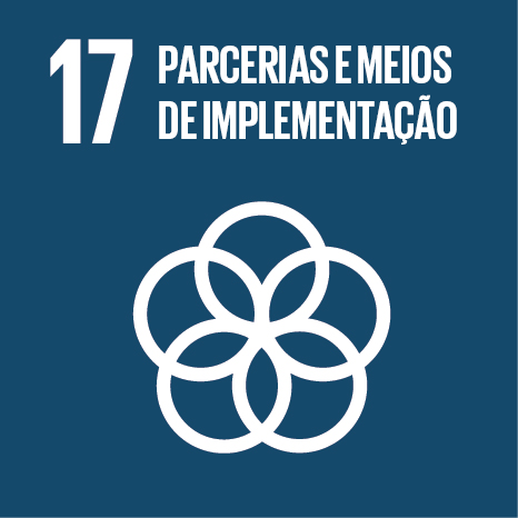 Objetivo de Desenvolvimento Sustentável 17 da Agenda 2023 da ONU