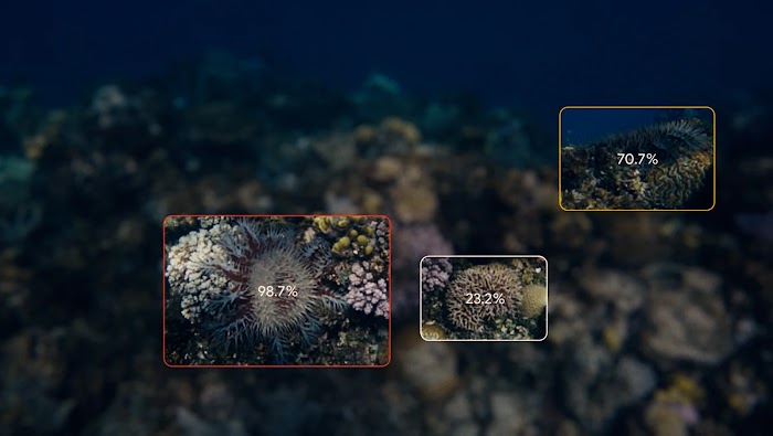 Google_CrownOfThorns_PR-Still_01.width-1600.format-webp (1).webpAn image showing the the AI model detecting crown-of-thorn-starfish through underwater imagery