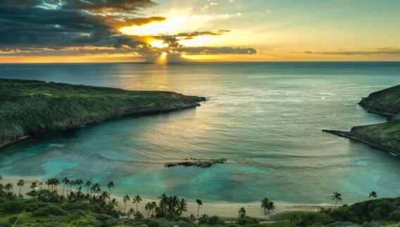 Travel Insurance Recommendations For Hawaii