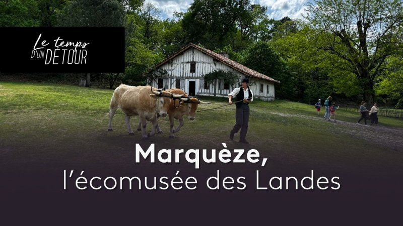 A l'écomusée de Marquèze dans les Landes - vidéo undefined - france.tv
