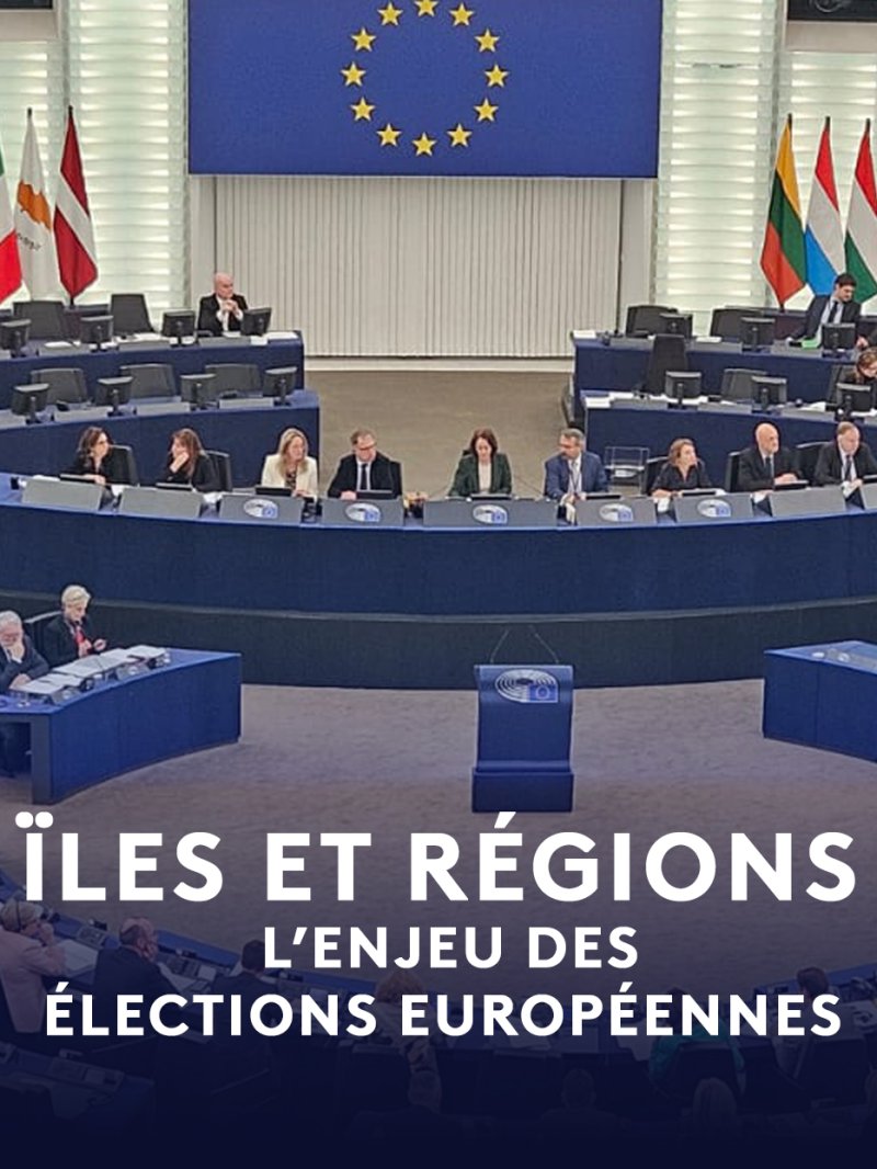 Iles et régions : l'enjeu des élections européenne - vidéo undefined - france.tv