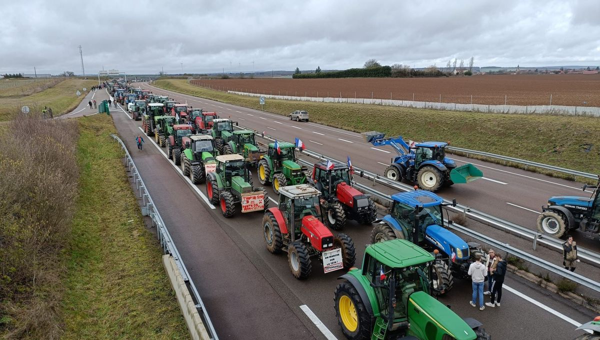 L'A6 est complètement coupée par les agriculteurs en colère, ce jeudi, entre Auxerre et Avallon.