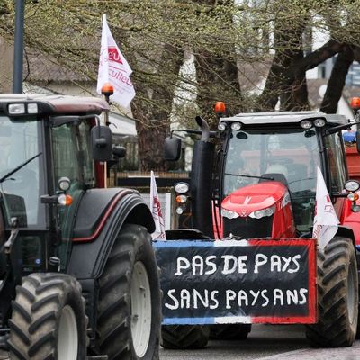 Une manifestation d'agriculteurs, le 18 mars denrier à Balma, près de Toulouse.