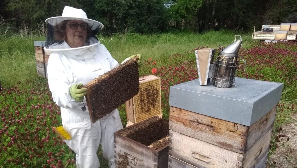 Céline VESNOS apicultrice récoltante à Lorris.