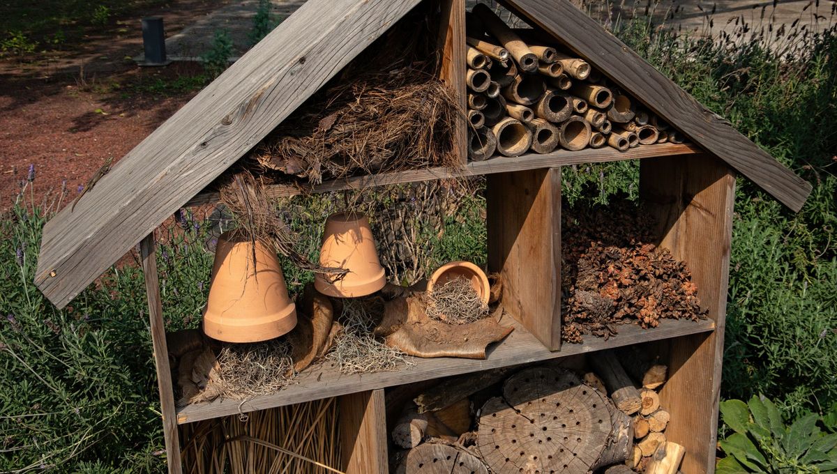 Un hôtel à insectes dans son jardin permet de préserver la biodiversité.