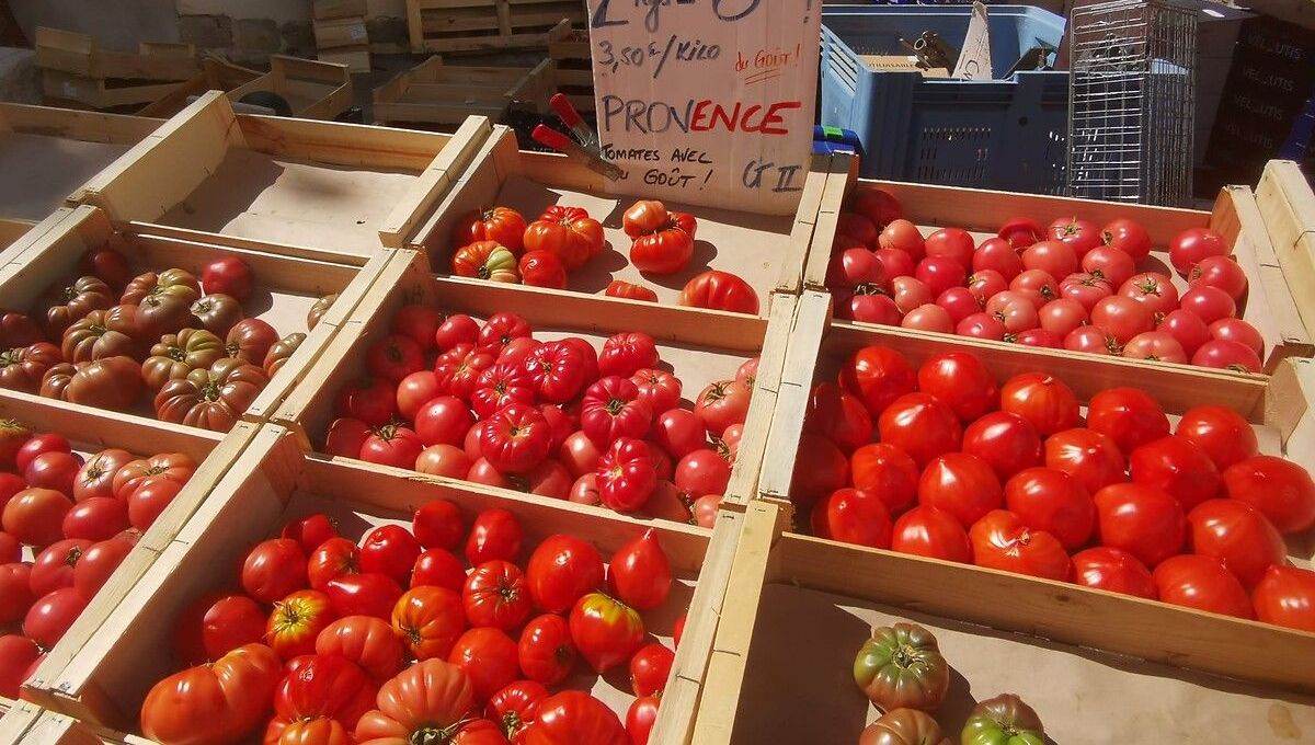 Tomates sur un marché de Provence. Illustration