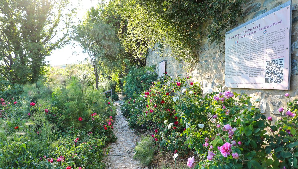 À ne pas manquer, l'Abbaye en Roses en partenariat avec France Bleu Provence