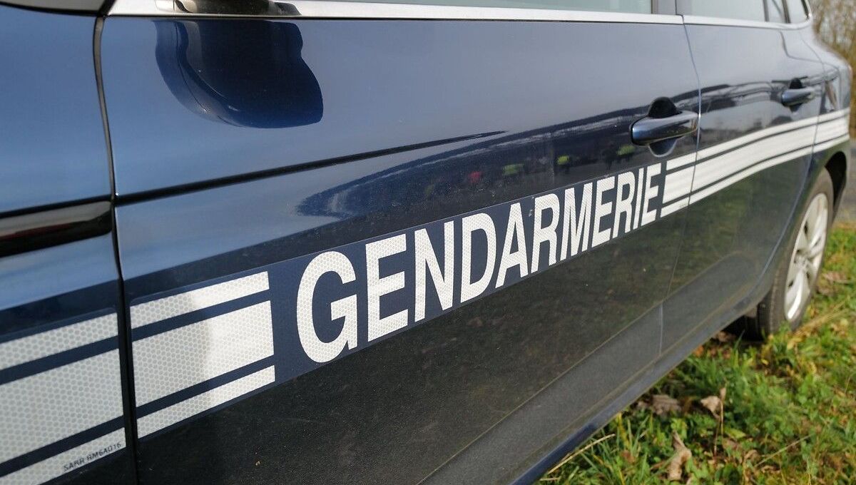 Le Groupement de Gendarmerie de la Sarthe a ouvert une enquête du chef de meurtre avec préméditation