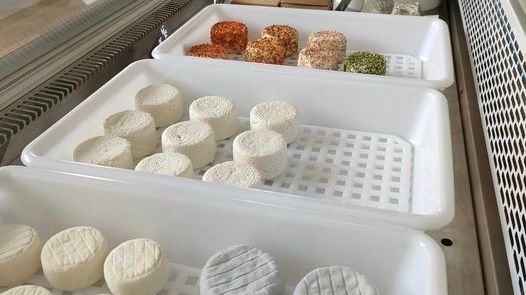 Les fromages de Michael et Anais de la Chèvrerie de la Croix Verte à Nesploy
