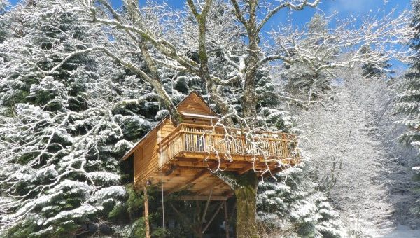 Gagnez un séjour dans une cabane dans les arbres avec Nids des Vosges