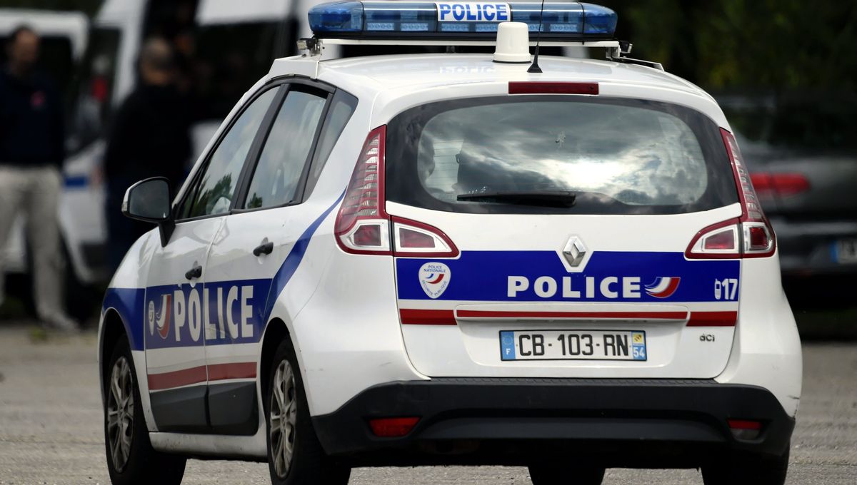 Le deuxième jeune homme mis en cause dans l'agression d'un couple de policiers en dehors de leur service mercredi en Seine-et-Marne a été placé en garde à vue.