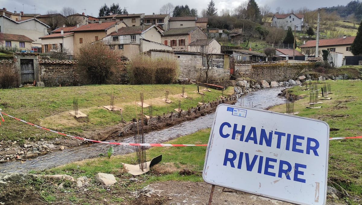 La rivière du Ciboulet, à L'Hôpital-sous-Rochefort dans la Loire ,a fait l'objet d'un chantier de réaménagement de ses berges