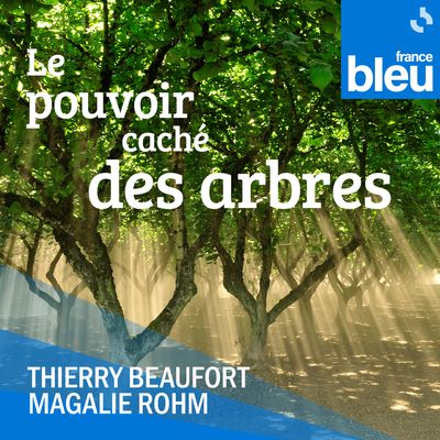 Le pouvoir caché des arbres, une série France Bleu en 44 épisodes