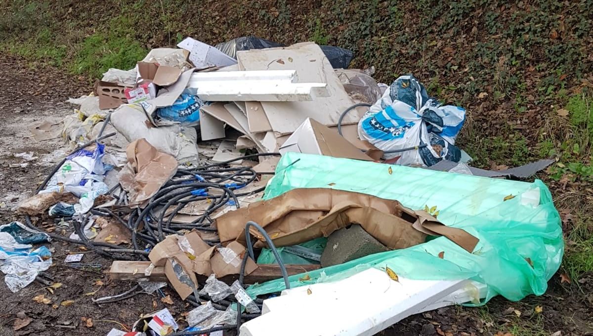 Des déchets abandonnés dans la nature à Bouguenais fin novembre (photo d'illustration).