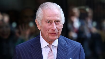 Le roi Charles III, le 30 avril 2024. (HENRY NICHOLLS / AFP)