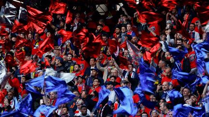 Des supporters du PSG au Parc des Princes lors de la demi-finale retour de Ligue des champions perdue face à Dortmund. (ODD ANDERSEN / AFP)